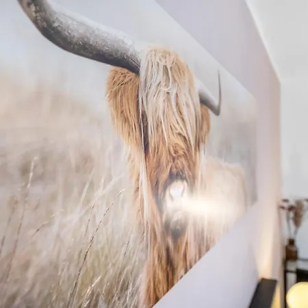 Urban Retreat - Whirpool - Lage Daire Köln